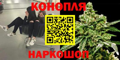 spice Тара