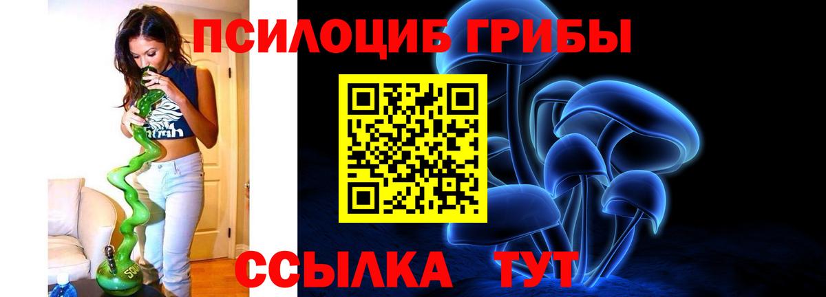 Псилоцибиновые грибы Magic Shrooms Новошахтинск